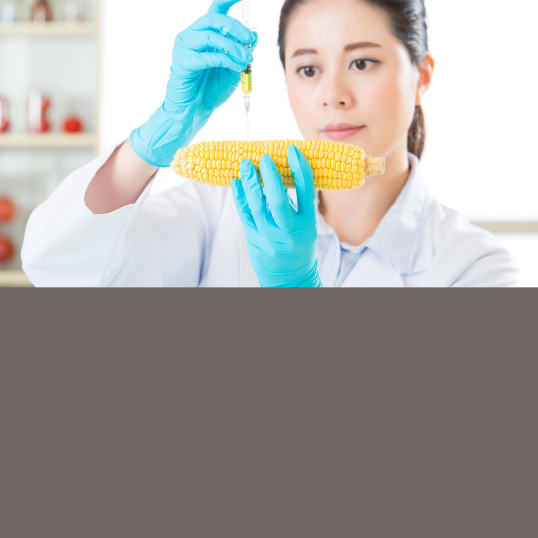 Vitaminas para Alimentos Preparados 